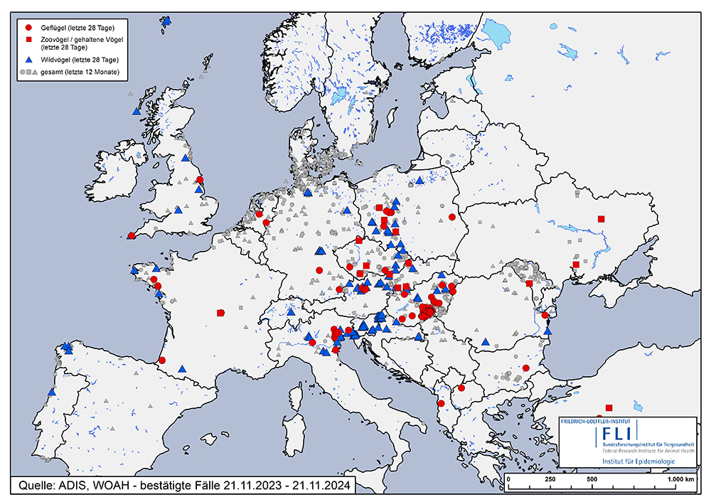 Odoo • Text und Bild